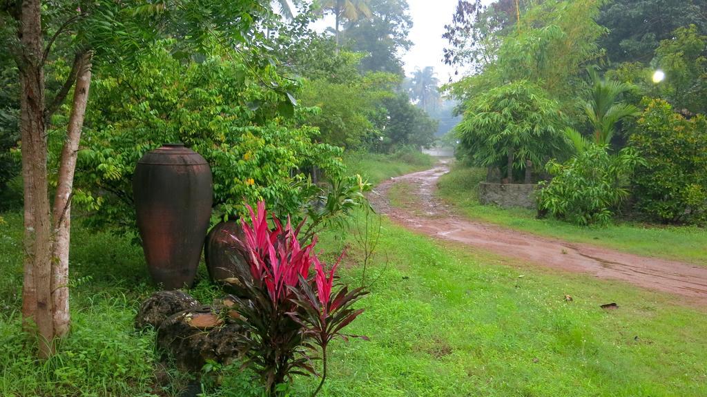 Clayfingers Art Cottage Thrissur Δωμάτιο φωτογραφία