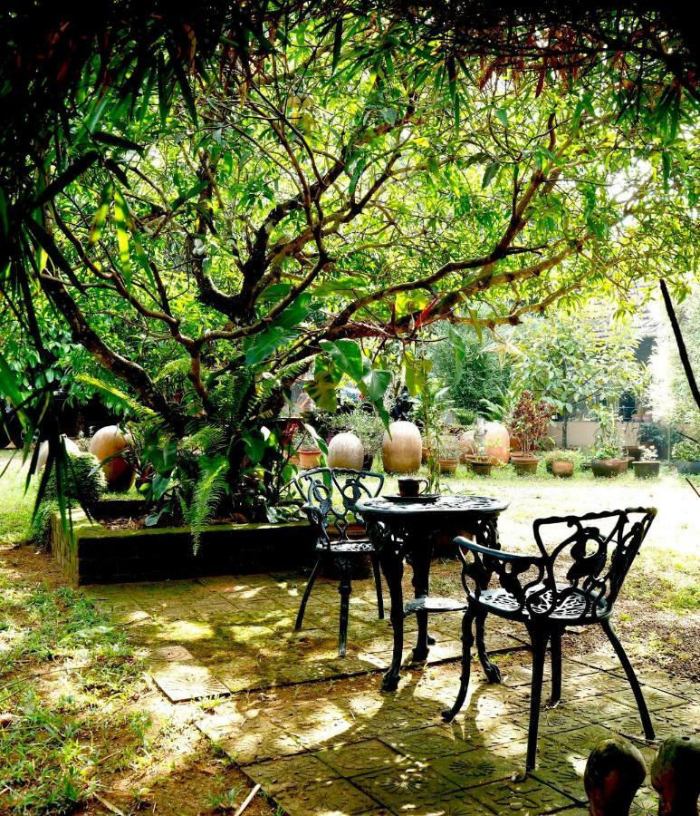 Clayfingers Art Cottage Thrissur Εξωτερικό φωτογραφία