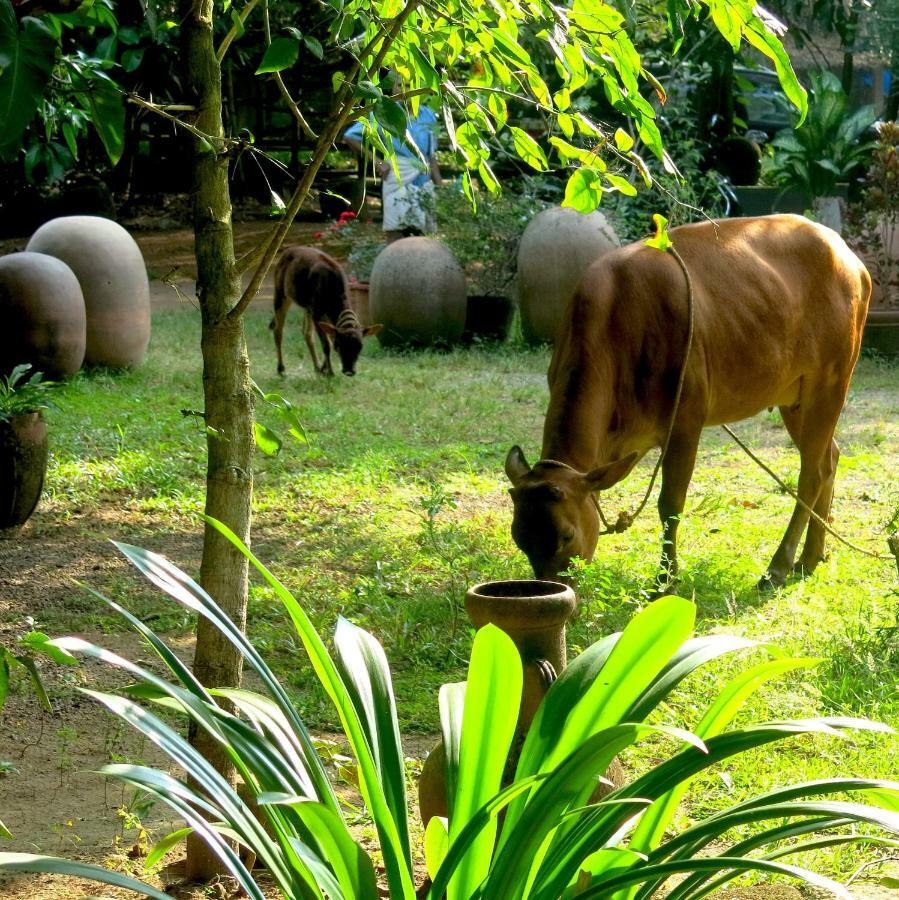 Clayfingers Art Cottage Thrissur Εξωτερικό φωτογραφία