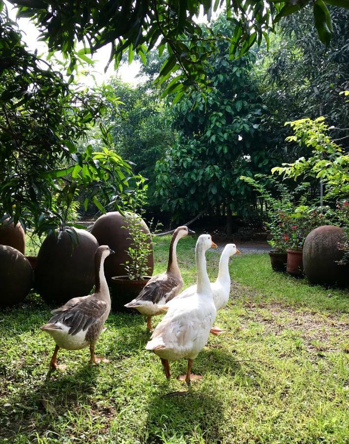 Clayfingers Art Cottage Thrissur Εξωτερικό φωτογραφία